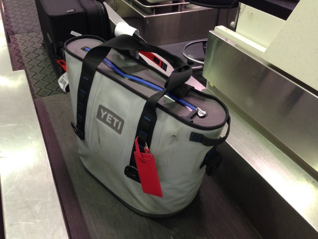 Checked in and ready to roll at Sydney Airport, March 2015.